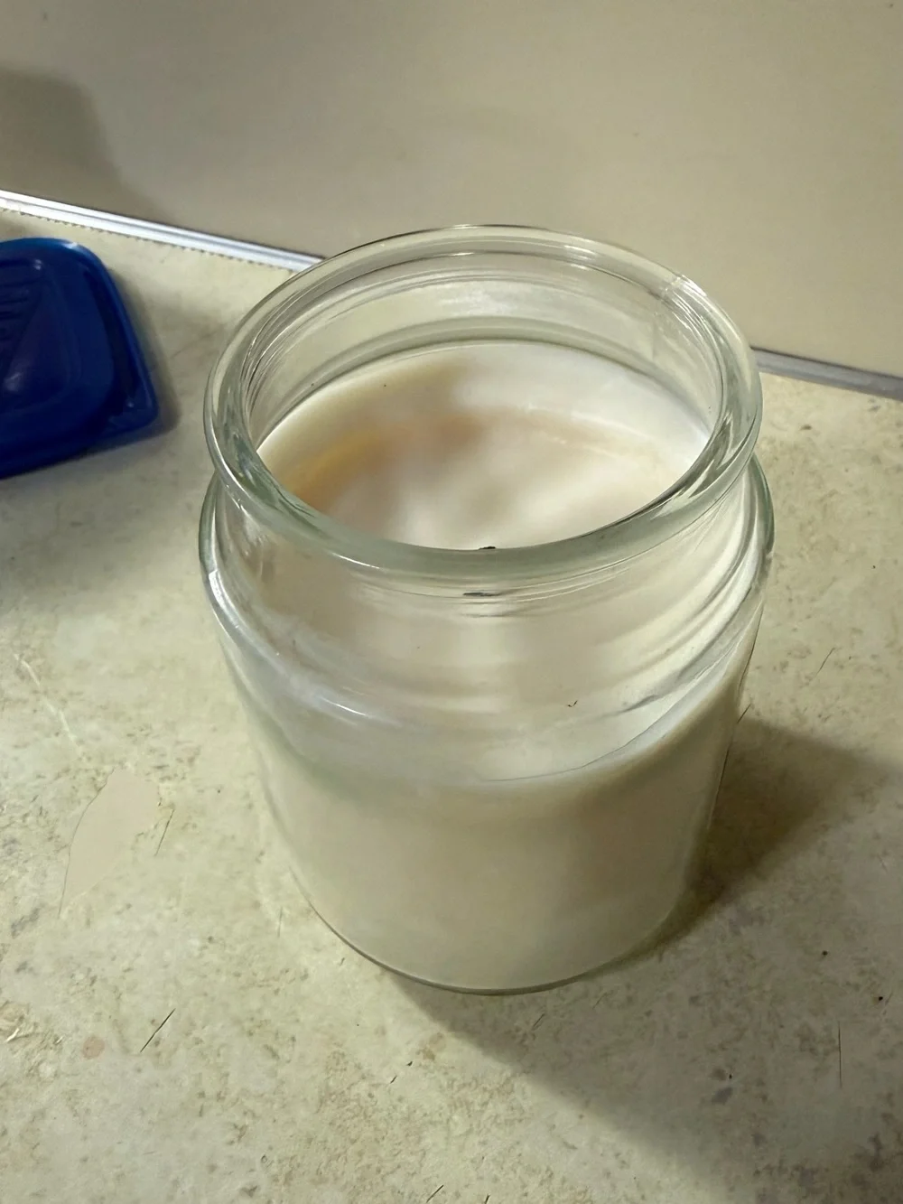 Saltwater Lotus Scented Jar Candle - White